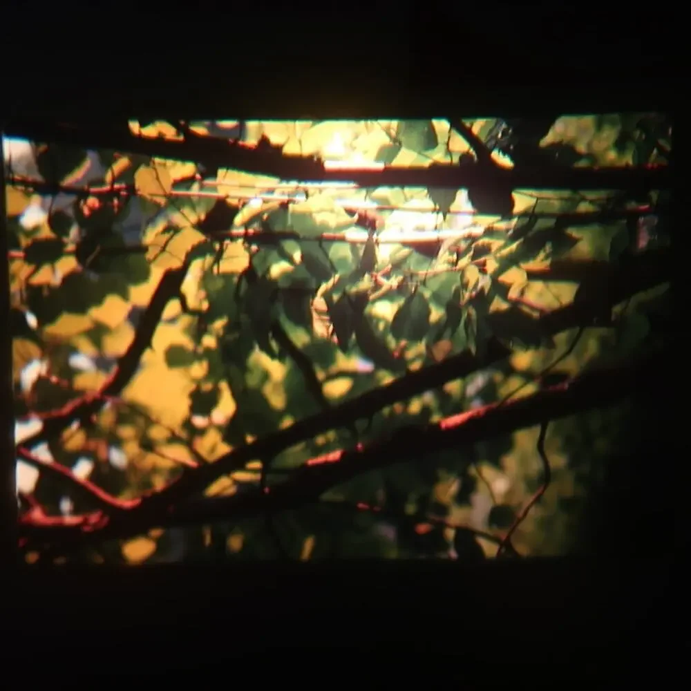 35mm Slides Lot of 12 Vintage 1970s Abstract Architecture Nature Water River